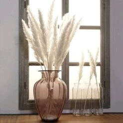 MINKUROW 30 Pz Erba Di Pampa, Erba Di Pampa Naturale Erba Di Pampa Essiccata Erba Phragmites Mazzo Di Fiori Secchi Decorazione Della Casa -Negozio al dettaglio Piante Casa 69789059 4
