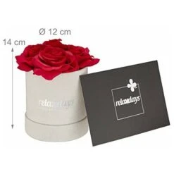 Relaxdays Rosenbox Bouquet Rotondo, 4 Rose, Grigio, Resistente 10 Anni, Idea Regalo, Box Decorativo, Rosse, Colore: Rosso, 14 X 12 X 12 Cm -Negozio al dettaglio Piante Casa 70714547 4