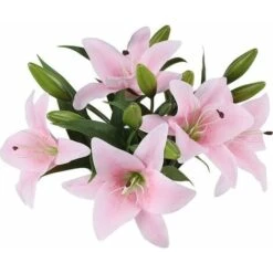 ZOLGINAH Bouquet Di Fiori Artificiali Set Di 5 Fiori Artificiali Finti Giglio Plastica Per La Casa Deco Matrimonio Paese Cimitero Pianta Artificiale Per Esterni Interni (rosa) -Negozio al dettaglio Piante Casa 71127522 4