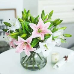 ZOLGINAH Bouquet Di Fiori Artificiali Set Di 5 Fiori Artificiali Finti Giglio Plastica Per La Casa Deco Matrimonio Paese Cimitero Pianta Artificiale Per Esterni Interni (rosa) -Negozio al dettaglio Piante Casa 71127522 5