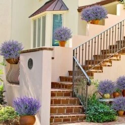9 Steli Finta Lavanda Viola Pianta Finta Fiori Viola Per La Reception Domestica, L'ufficio, L'arredamento Del Patio O L'arredamento Di Nozze Fai-da-te -Negozio al dettaglio Piante Casa 71379687 5