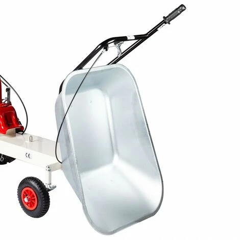 Vasca Di Trasporto EUROSYSTEMS Per Mod. P 55 2 Vasca Di Trasporto EUROSYSTEMS Per Mod. P 55 - immagine 2