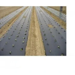 Biotelo Per Pacciamatura 1mt X 100mt 15 Micron Biodegradabile