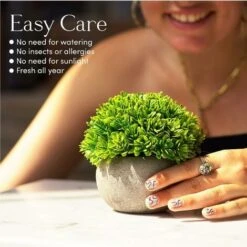 Piante Finte, Set Di Piante Finte Per Interni, 3 Mini Piante Multicolori Realistiche In Vaso, Piantine Finte Decorative In Confezione Regalo E Mobili -Negozio al dettaglio Piante Casa 74098089 4