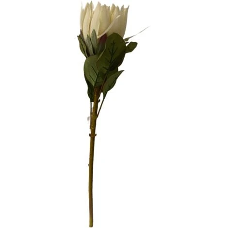 RAMO PROTEA H68 BIANCA 1 RAMO PROTEA H68 BIANCA