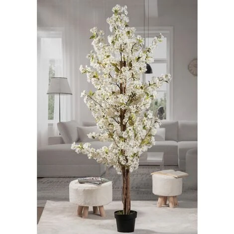 Star PIANTA CILIEGIO VASO X DEC BIANCO D20XH200 1 Star PIANTA CILIEGIO VASO X DEC BIANCO D20XH200