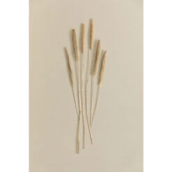 SKLUM Bouquet Decorativo Koty Beige Crema -Negozio al dettaglio Piante Casa 77183379 3