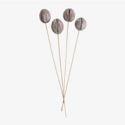 SKLUM Confezione Da 4 Rami Secchi Decorativi Mintola Gris - Madera Natural