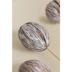 SKLUM Confezione Da 4 Rami Secchi Decorativi Mintola Gris - Madera Natural -Negozio al dettaglio Piante Casa 77183385 4