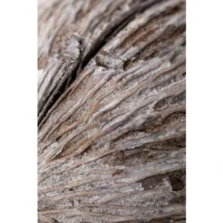 SKLUM Confezione Da 4 Rami Secchi Decorativi Mintola Gris - Madera Natural -Negozio al dettaglio Piante Casa 77183385 5