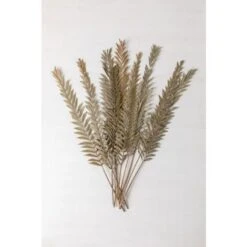 SKLUM Confezione Da 10 Rami Secchi Decorativi Sarat Verde Bambù -Negozio al dettaglio Piante Casa 77183391 3