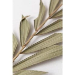 SKLUM Confezione Da 10 Rami Secchi Decorativi Sarat Verde Bambù -Negozio al dettaglio Piante Casa 77183391 4