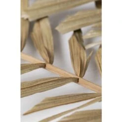 SKLUM Confezione Da 10 Rami Secchi Decorativi Sarat Verde Bambù -Negozio al dettaglio Piante Casa 77183391 5