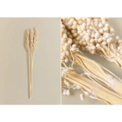 SKLUM Confezione Da 3 Rami Decorativi Marbia Beige Crema -Negozio al dettaglio Piante Casa 77183399 3