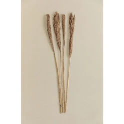 SKLUM Confezione Da 4 Rami Secchi Decorativi Pampy Marrone Grano 8 SKLUM Confezione Da 4 Rami Secchi Decorativi Pampy Marrone Grano -Negozio al dettaglio Piante Casa 77183407 4