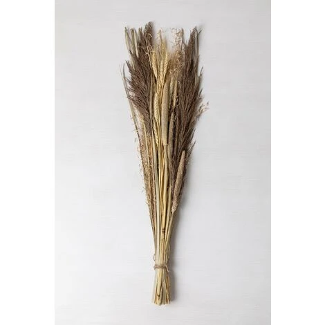 SKLUM Mazzo Di Fiori Secchi Grostic Colori Naturali 3 SKLUM Mazzo Di Fiori Secchi Grostic Colori Naturali - immagine 3