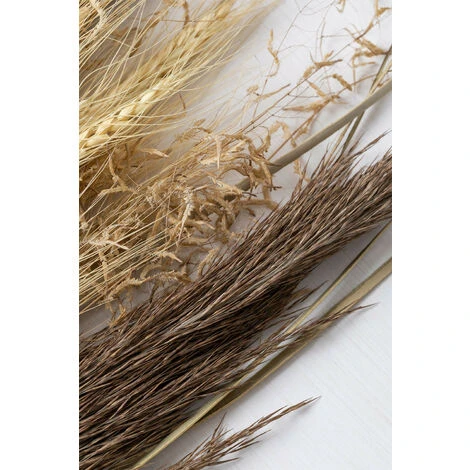 SKLUM Mazzo Di Fiori Secchi Grostic Colori Naturali 4 SKLUM Mazzo Di Fiori Secchi Grostic Colori Naturali - immagine 4