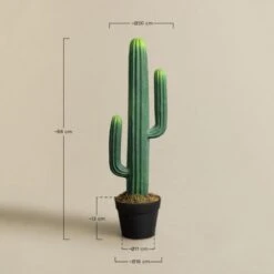 SKLUM Cactus Artificiale Cereus 68 Cm ↑68 Cm -Negozio al dettaglio Piante Casa 77183417 5