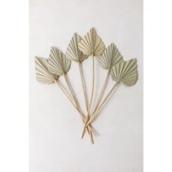 SKLUM Confezione Da 6 Rami Secchi Decorativi Beliefe Verde Bambù 7 SKLUM Confezione Da 6 Rami Secchi Decorativi Beliefe Verde Bambù -Negozio al dettaglio Piante Casa 77183419 3