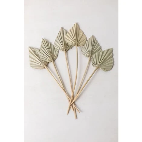 SKLUM Confezione Da 6 Rami Secchi Decorativi Beliefe Verde Bambù 3 SKLUM Confezione Da 6 Rami Secchi Decorativi Beliefe Verde Bambù - immagine 3