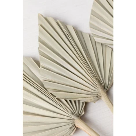 SKLUM Confezione Da 6 Rami Secchi Decorativi Beliefe Verde Bambù 4 SKLUM Confezione Da 6 Rami Secchi Decorativi Beliefe Verde Bambù - immagine 4