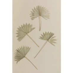 SKLUM Confezione Da 4 Rami Secchi Decorativi Urpek Verde Bambù -Negozio al dettaglio Piante Casa 77183425 3