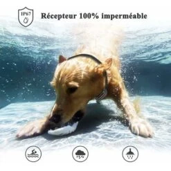 Doppio Collare Da Addestramento Per Cani Ricaricabile, Telecomando Da 1000 M, Blocco Pulsanti E Impermeabile IP67, Collare Elettrico Con Modalità Vibrazione, Shock E Suono - 2 Pezzi (grigio) -Negozio al dettaglio Piante Casa 78584586 5