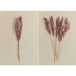 SKLUM Confezione Da 5 Rami Secchi Decorativi Dagrai Rosa Malva Pallido -Negozio al dettaglio Piante Casa 79489503 3