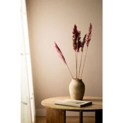 SKLUM Confezione Da 5 Rami Secchi Decorativi Dagrai Rosa Malva Pallido -Negozio al dettaglio Piante Casa 79489503 5