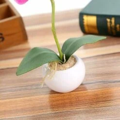 Pianta Di Simulazione Piccolo Vaso Rotondo Phalaenopsis Bonsai Fiore Di Simulazione Ornamenti Di Fiori Di Seta D -Negozio al dettaglio Piante Casa 81290361 3