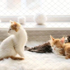 Randaco Rete Per Gatti Altri Accessori Per Gatti Rete Per Balconi Rete Per Uccelli Per Gatti Fissare La Rete Di Protezione Per Gatti 3x8m -Negozio al dettaglio Piante Casa 82454927 3