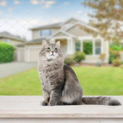 Randaco Rete Per Gatti Altri Accessori Per Gatti Rete Per Balconi Rete Per Uccelli Per Gatti Fissare La Rete Di Protezione Per Gatti 3x8m -Negozio al dettaglio Piante Casa 82454927 4