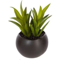 Impianto Di Grasso Magnetico D6 - Nero C - Atmosphera Créateur D'intérieur -Negozio al dettaglio Piante Casa 83778801 3