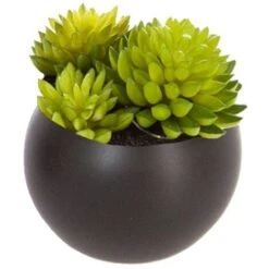 Impianto Di Grasso Magnetico D6 - Nero C - Atmosphera Créateur D'intérieur -Negozio al dettaglio Piante Casa 83778801 5