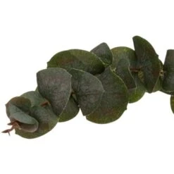 Negozio al dettaglio Piante Casa -Negozio al dettaglio Piante Casa 83781022 2