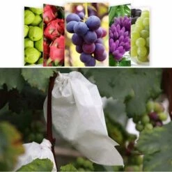 100 Pezzi Giardino Uva Frutta Sacchetti Di Protezione Frutta Foresta Verdure Aiuola Fiori Rete Antiparassitaria Sacchetti Rete Isolante Per Insetti Sacchetti Barriera (200 300mm, Bianco) -Negozio al dettaglio Piante Casa 85322264 4