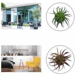 Pianta Artificiale Simulazione Di Fiori Artificiali Pianta Grassa Fresia Pianta In Vaso Simulazione Interna Fiore Decorazione Della Casa Bonsai Ornamenti Pianta Verde Pianta Di Simulazione (Marrone) -Negozio al dettaglio Piante Casa 85904990 5