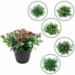 Pianta Artificiale Fiore Artificiale Piccolo Legno Di Sandalo Colorazione Rossa Vaso Bonsai Pianta Di Simulazione Fiore Di Alga D'acqua Decorazione Domestica Bonsai Simulazione (Colore Loto) -Negozio al dettaglio Piante Casa 85905185 4