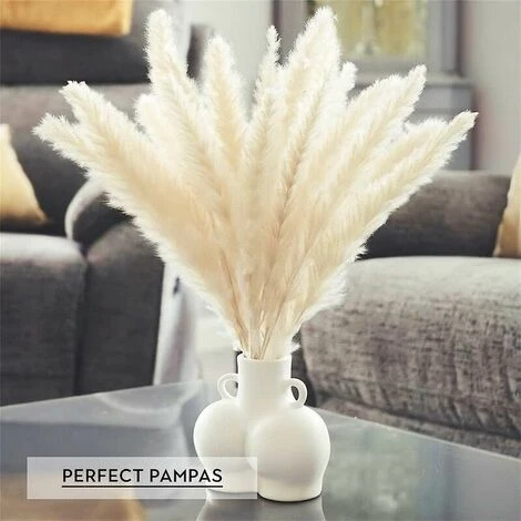 Set Di 15 Erba Di Pampas Essiccata, Decorazione Per Vaso Di Fiori Secchi Artificiali Da 43 Cm, Decorazione Di Erba Di Pampas E Fiori Secchi, Erba Di Pampas Naturale, Erba Di Pampas Essiccata, Canne Es 2 Set Di 15 Erba Di Pampas Essiccata, Decorazione Per Vaso Di Fiori Secchi Artificiali Da 43 Cm, Decorazione Di Erba Di Pampas E Fiori Secchi, Erba Di Pampas Naturale, Erba Di Pampas Essiccata, Canne Es - immagine 2