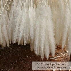 Set Di 15 Erba Di Pampas Essiccata, Decorazione Per Vaso Di Fiori Secchi Artificiali Da 43 Cm, Decorazione Di Erba Di Pampas E Fiori Secchi, Erba Di Pampas Naturale, Erba Di Pampas Essiccata, Canne Es 8 Set Di 15 Erba Di Pampas Essiccata, Decorazione Per Vaso Di Fiori Secchi Artificiali Da 43 Cm, Decorazione Di Erba Di Pampas E Fiori Secchi, Erba Di Pampas Naturale, Erba Di Pampas Essiccata, Canne Es -Negozio al dettaglio Piante Casa 86165337 4