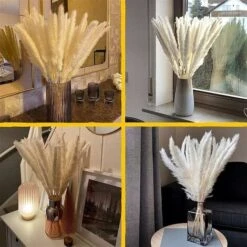 Set Di 15 Erba Di Pampas Essiccata, Decorazione Per Vaso Di Fiori Secchi Artificiali Da 43 Cm, Decorazione Di Erba Di Pampas E Fiori Secchi, Erba Di Pampas Naturale, Erba Di Pampas Essiccata, Canne Es 9 Set Di 15 Erba Di Pampas Essiccata, Decorazione Per Vaso Di Fiori Secchi Artificiali Da 43 Cm, Decorazione Di Erba Di Pampas E Fiori Secchi, Erba Di Pampas Naturale, Erba Di Pampas Essiccata, Canne Es -Negozio al dettaglio Piante Casa 86165337 5