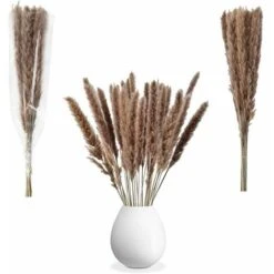 30pcs Piccola Erba Di Pampa Naturale Essiccata Fiori Secchi Bouquet Vasi Decorazione Fai Da Te Per La Decorazione Domestica Fotografia Camera Balcone Tavolo Centrotavola Matrimoni Colore Primario -Negozio al dettaglio Piante Casa 86167177 3
