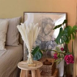 Set Di Erba Di Pampas Essiccata Di 30, 43cm Decorazione Vaso Di Fiori Secchi Artificiali, Decorazione Di Erba Di Pampas E Fiori Secchi, Erba Di Pampas Naturale, Erba Di Pampas Essiccata, Canne Essicca -Negozio al dettaglio Piante Casa 86168199 3