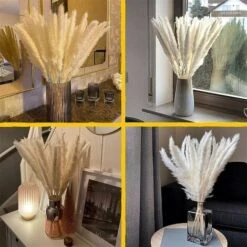 Set Di Erba Di Pampas Essiccata Di 30, 43cm Decorazione Vaso Di Fiori Secchi Artificiali, Decorazione Di Erba Di Pampas E Fiori Secchi, Erba Di Pampas Naturale, Erba Di Pampas Essiccata, Canne Essicca -Negozio al dettaglio Piante Casa 86168199 5