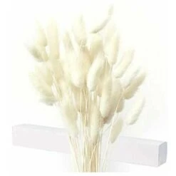 Decorazione Di Erba Di Pampa Essiccata 40 X Erba Di Pampa Essiccata Fiori Secchi Senza Profumo Bouquet Di Fiori Secchi Decorazione Di Fiori Secchi Naturali -Negozio al dettaglio Piante Casa 86169059 3