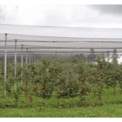 Windhager Rete Antigrandine -Negozio al dettaglio Piante Casa 86647660 3