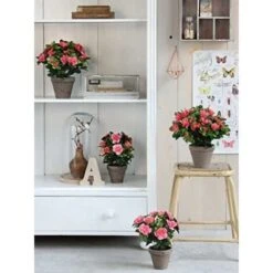 MICA Decorations Azalea Watch, Naranja, Extra Large -Negozio al dettaglio Piante Casa 86649455 3