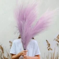 3 Pezzi Erba Della Pampas Secca Decorative, 110 Cm Pampas Alte Piume Decorative Per Vaso, Boho Viola Colore, Per Decorazioni Natale Interno Casa Nozze 8 3 Pezzi Erba Della Pampas Secca Decorative, 110 Cm Pampas Alte Piume Decorative Per Vaso, Boho Viola Colore, Per Decorazioni Natale Interno Casa Nozze -Negozio al dettaglio Piante Casa 87878341 4