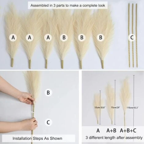 3 Pezzi Erba Della Pampas Secca Decorative, 110 Cm Pampas Alte Piume Decorative Per Vaso, Boho Viola Colore, Per Decorazioni Natale Interno Casa Nozze 5 3 Pezzi Erba Della Pampas Secca Decorative, 110 Cm Pampas Alte Piume Decorative Per Vaso, Boho Viola Colore, Per Decorazioni Natale Interno Casa Nozze - immagine 5