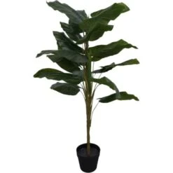Pianta Foglia Calla 120cm